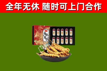 巴南烟酒回收冬虫夏草礼盒.jpg
